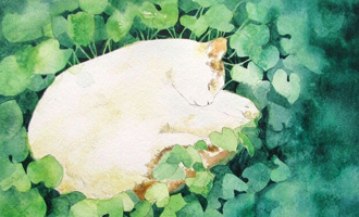 闲小豆·自然食疗